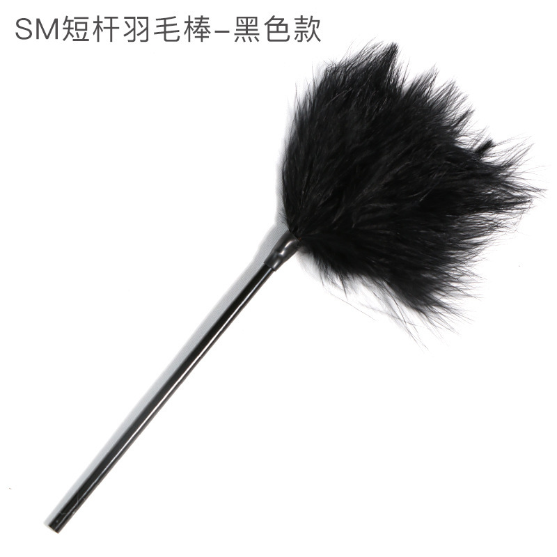 Feather Teasing Stick with Zinc Alloy Handle for Adult Couples — detail image 19