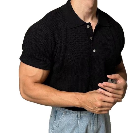 American-style Lel Knitted Short-sleeved Polo Shirt Men's Summer Dongdaemun New T-shirt Honeycomb Breathable Casual Top