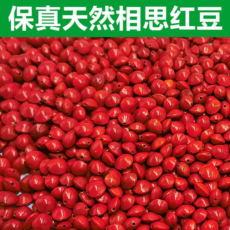 Семена акации, рассыпчатые бусины из красной фасоли, пробитые семена бодхи из красной фасоли, оригинальные браслеты из семян, браслеты, аксессуары из ювелирных бобов