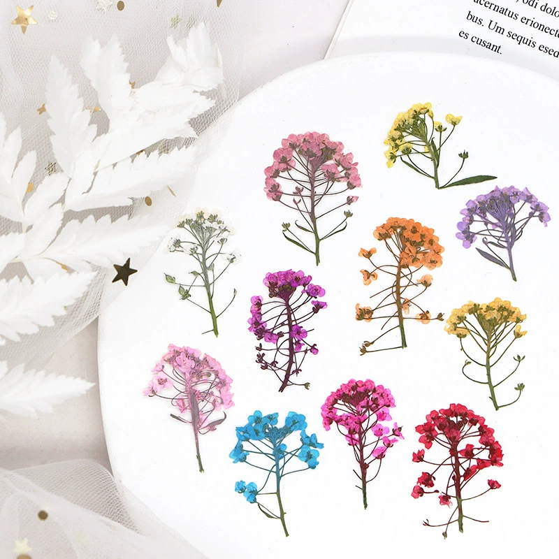 Xiangxueqiu Цветочная головка окрашивание Сушеный Цветок тисненая Закладка гель капля образец растения DIY перегородка фоторамка материал ручной работы