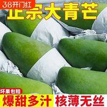 �����|���V������â����â������ɳ�Խ�ϱ�Ƥ���â���ڮ������r