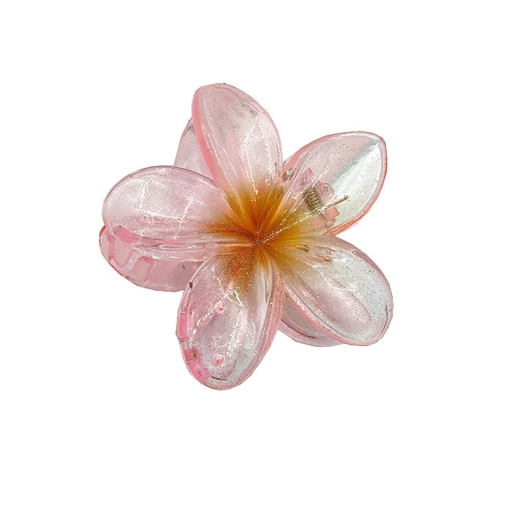 国境を越えたアマゾンの卵の花がグラデーションの花のキャンディー色の紫荊花の後頭部をつかんでサメの花を挟んで髪を伸ばします。|undefined