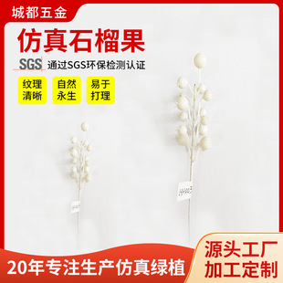 ����ʯ���14�^�L֦�}�Q�b��滨�y�������}�Q������Gֲ�b�Ʒ