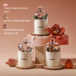 �������ɻ���޹Ϟ�T�Y�ж��� �������������޹Ϟ�T���b�[������