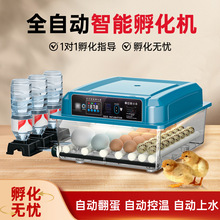 【 源头工厂】家用孵化器小型家用孵蛋器鸡鸭鹅鹌鹑鸽孵化机保温