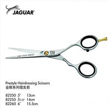 JAGUAR���ֱ�ϵ�з���ʦר����������