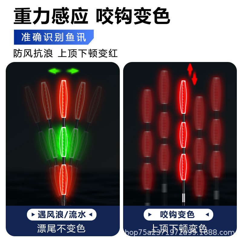 モンタニの浅瀬の短い大物の夜光は昼と夜の両用で太くて、目を引きます。|undefined