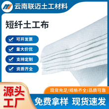 厂家直销反滤保温防尘无纺布工程公路养护防护河道针刺短纤土工布