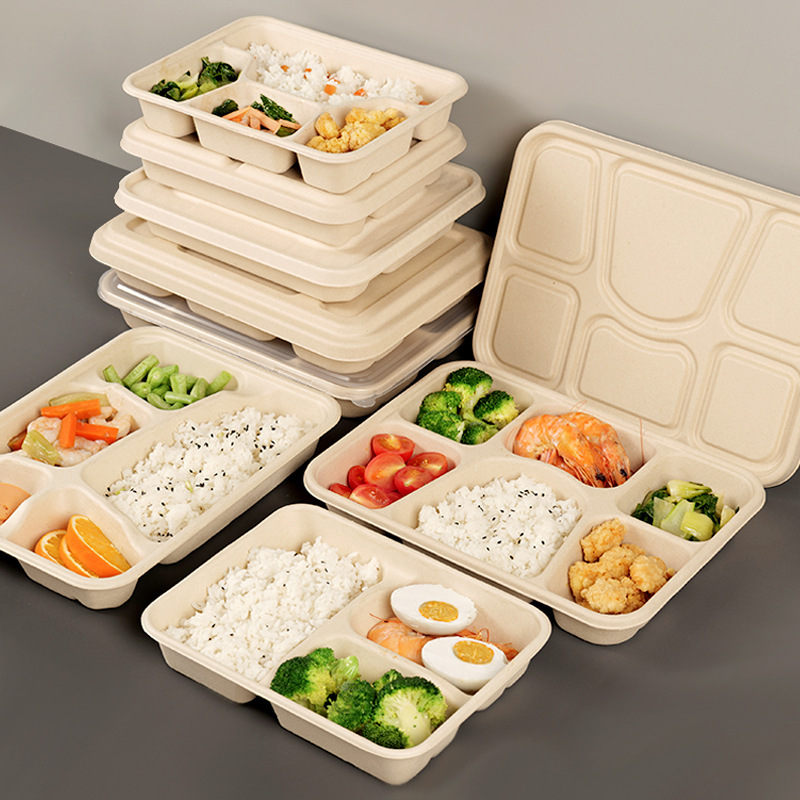 Disposable Food Tray with Four Compartments, Three Compartments, Pulp Takeout Packaging, Compartmentalized, Biodegradable, Multi-Compartment Portable Lunch Box