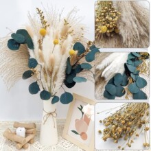 �JȔ�ɻ���β��������˹���JȔ�ݸ߼����滨�ɻ��ɻ�����������