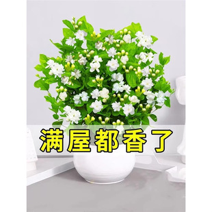 ����������ˮ���������������Ϙ��d�ӻ�����þGֲ���ļ��_��