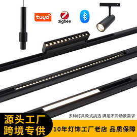 48V低压智能涂鸦Zigbee磁吸轨道灯具嵌入式明装暗装轨道LED无主灯