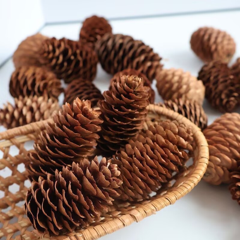 El spruce pin