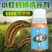 �~ζ���S��ֱ�NΛ���Λ��T�D�����ӄ��¾W�\ץΛ�ˮ�����T�D��