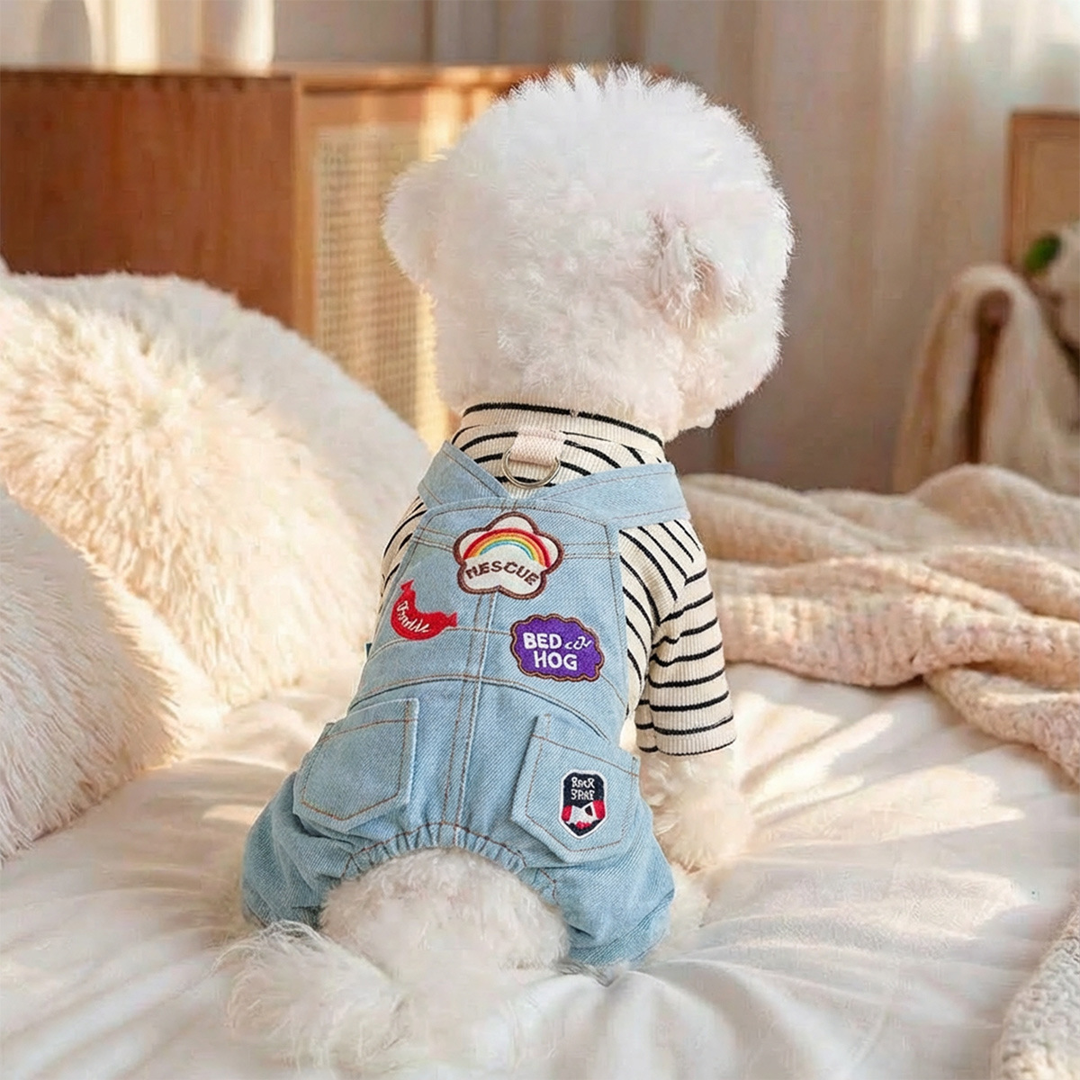 PETCIRCLE宠物春秋新款小型犬幼犬狗猫舒适彩虹补丁背带裤