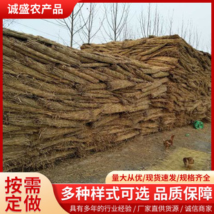 Lawn Curtain for Greening Thickened Straw Curtain for Greening and Thermal Insulation in Greenhouse