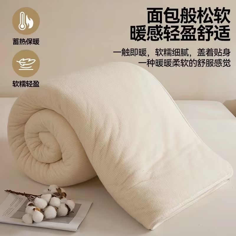 Class a Cotton Quilt Mattress Cover Soft Cushion Home Bedroom Mattress Dormitory Student Single Rental