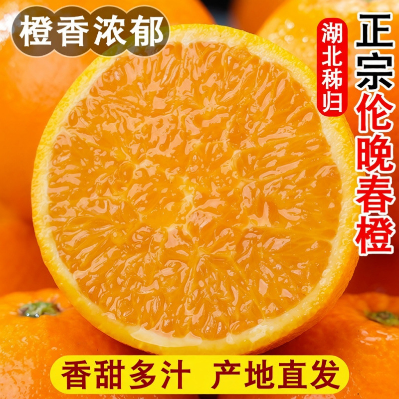 Hubei Zigu脐 Orange Source Region, Year-Round Fresh Fruit Procurement, Seasonal Oranges, 1 Piece Per 1 Jin, Minimum Order of 5 Pieces Hubei Zigu脐 Orange Source Region, Year-Round Fresh Fruit Procurement, Seasonal Oranges, 1 Piece Per 1 Jin, Minimum Order of 5 Pieces