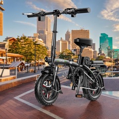 (対外貿易輸出専用) ドイツのトップ折り畳み電動自転車リチウム電池電気自動車が電気自動車を運転している