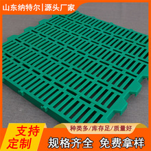 ɽ�|�{�ؠ� �i��©�S�� �a�����i©�S�ذ� ȫ�����i������©�S��