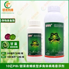 金哈哈甜菜夜蛾核型多角体病毒蔬菜甘蓝甜菜夜蛾生物农药杀虫剂