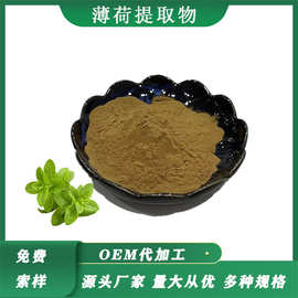 薄荷提取物10：1水溶薄荷粉另有薄荷生粉薄荷脑药食同源厂家现货