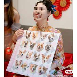 锁美结婚堵门寻找狗狗猫猫大作战KT板接亲堵门整蛊伴郎伴娘游戏