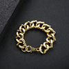 Necklace hip-hop style, fashionable accessory, metal chain for key bag , jewelry, suitable for import, punk style