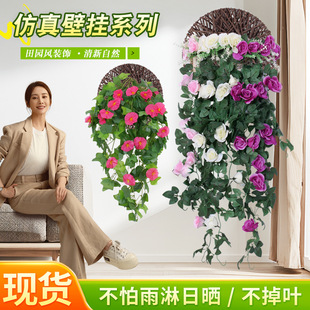 ���Ʒ���õ�廨�ٗl���m���@�b�ֲ���������ϻ��ٿ͏dõ��ڒ�