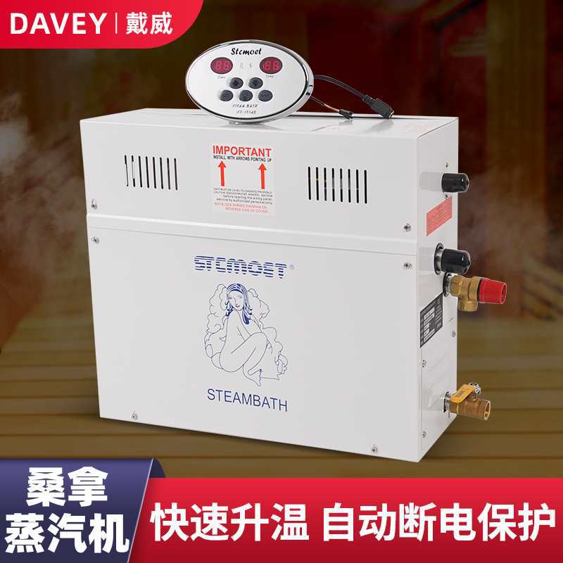 汗蒸桑拿房浴室用商用湿蒸机蒸汽机电加热蒸汽发生器蒸汽炉设备
