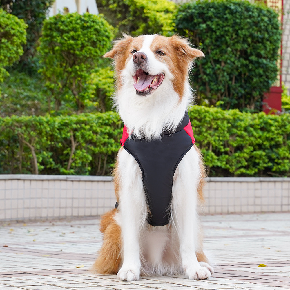 Ropa para mascotas, estilo otoño e invierno, chaleco de algodón para perros, ropa para perros y gatos, golden retriever, perros medianos y grandes, arnés al por mayor