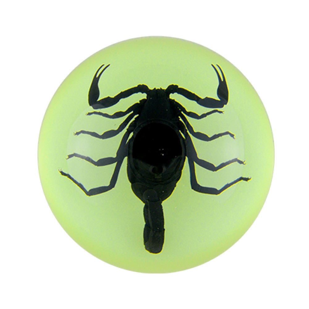 Luminous Black Scorpion [Bubble Bag Simple Pack]