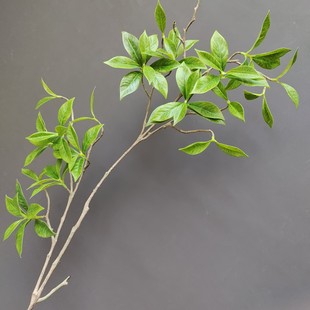 �����ָ����ز��Gֲ�R��ľ�d���~�Ҿӻ�c���^�҃ș����b��~���l