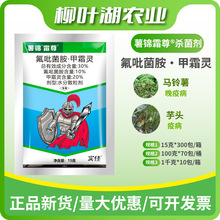 ���\˪��30%��������&middot;��˪�` ˪ù���߲��������rș�r�Y���lֱ�N