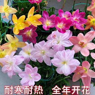�ļ��L���m�ذ�N���M�ڻ��������_��ֲ����B�׻���m�����ͻ���