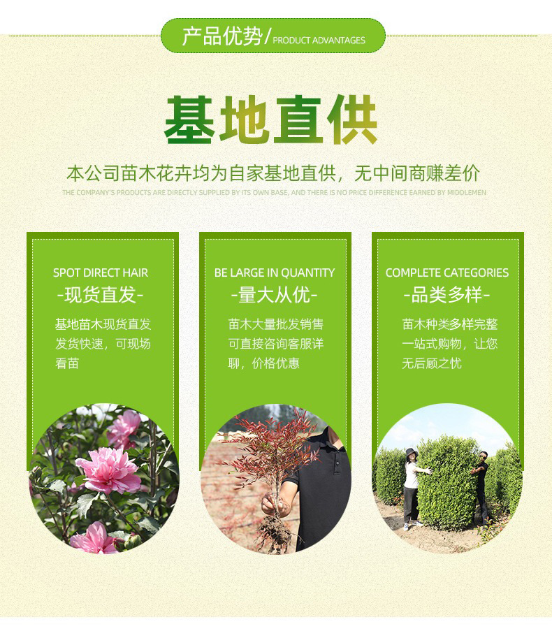 lQDPJx0A9oK-aQPNA5HNAxaw9G7kgA