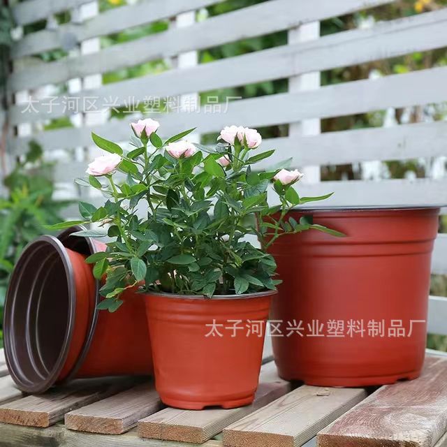 Disposable two-color big simple flowerpot