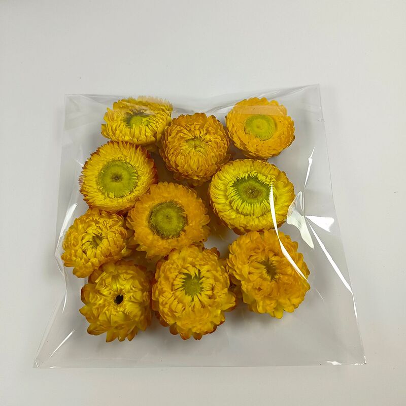 麦わら菊の花の頭の乾いた花の七色の菊の頭のDIYの材料は自然な真の花の雲南の源の工場を包んで卸売りします。|undefined