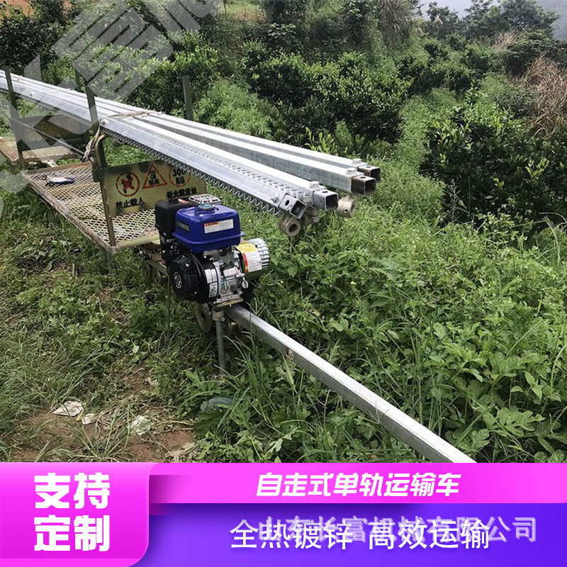 果园单轨运输车 上山下山自走式单轨轨道车 大棚双轨轨道运输车