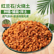 �t�mʯ������w���t���m��ֲ�ϻ�ʯ����|�׻��ܠI�B�������