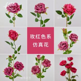(õ�tɫϵ)���滨��c��չ��Y�ò廨�ҾӔ[���b����ՔzӰ����