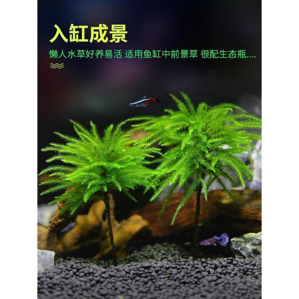 97a07890-78cd-477b-9ba2-ca23b060ec36.jpe