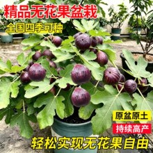 �o�������������ش������Y�����԰����ϱ��������t����ͥԺ�Nֲ