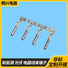 �v�d�ǘ˶��� �����B���� �B�m�~�ܶ��� �A�ܽӾ����Ӿ���