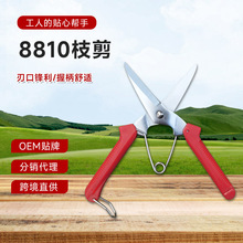 �@�ֹ���֦�辰�@ˇ�����๦�ܘ�֦��ժ�������Ѽ����ټ������l