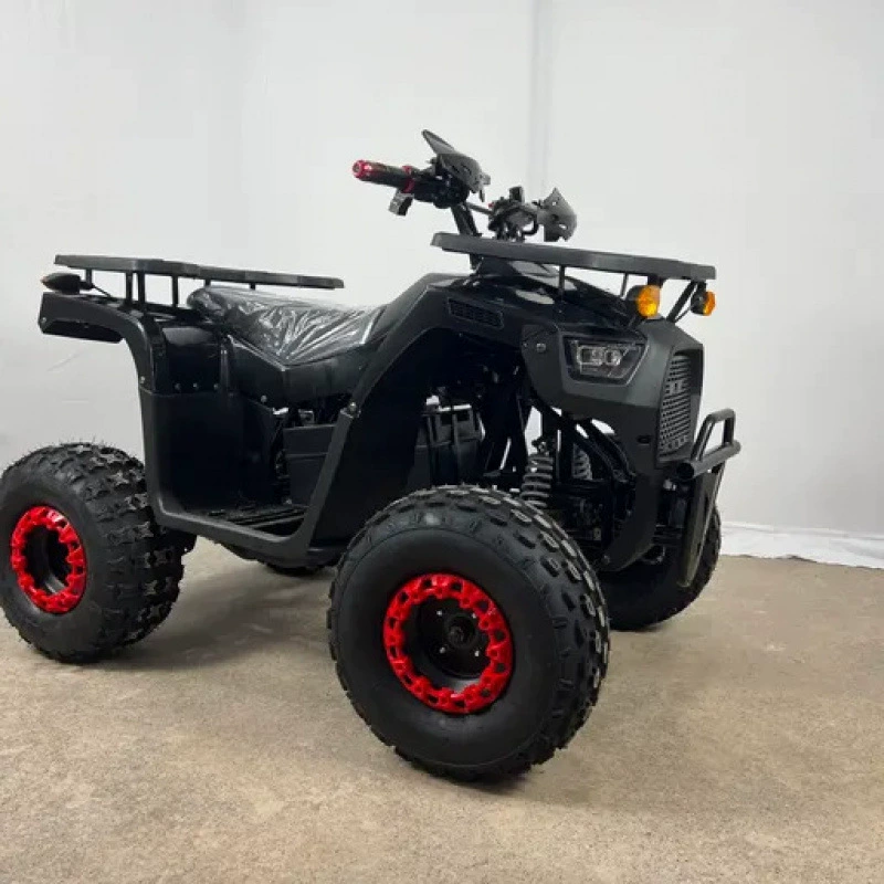 Beach SUV, entertainment bike on four wheels for adults