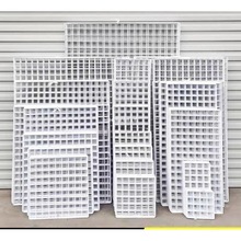 WƬWFzWВW؛ܰɫFWչʾܸӾWƬ젝