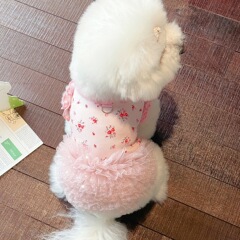 夏の新型猫犬プリントホーム服夏の氷糸綿スカートテディ比熊ペット服卸売り