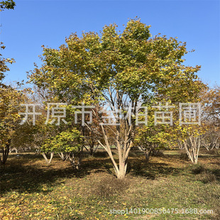 �|��������Ǘ����l�������Ǘ�8-30���ֿ͑��x��l�Ե����͹Ř�