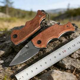 厂家批发迷你户外小刀随身小多功能刀野营求生折刀防身刀水果刀生